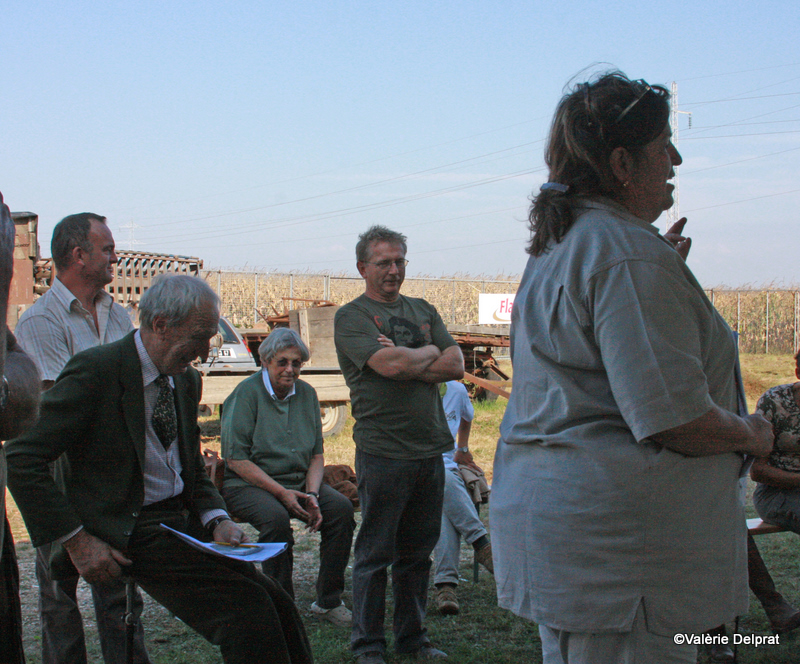 Field Erstein 09 (91).JPG